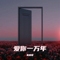 真真敬 - 爱你一万年 [FREE DOWNLOAD]