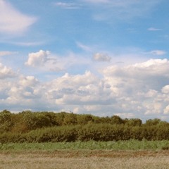 photograph  DEMO    V1