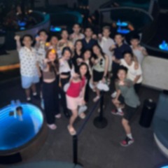 BORJUIS VIP-1 #Req PAT - DS75