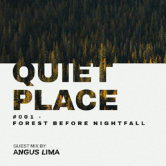 Quiet Place #001 – Forest Before Nightfall