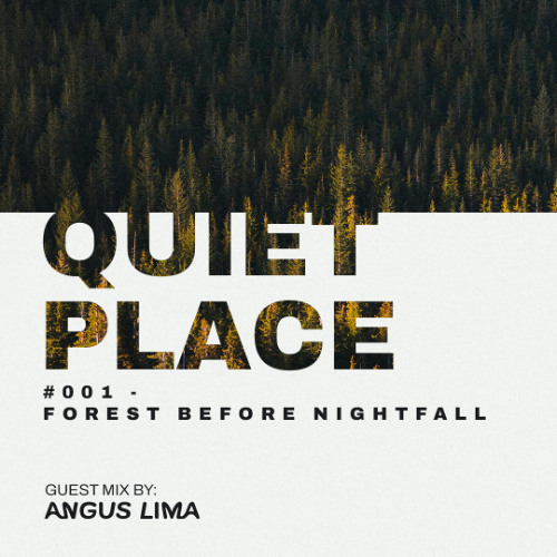 Quiet Place #001 – Forest Before Nightfall