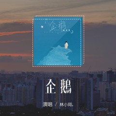 林小珂 - 企鵝「就像一隻企鵝跳進北冰洋，愛得其所是無止盡的奢望」【動態歌詞/pīn yīn gē cí】