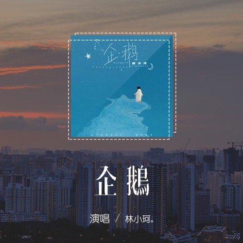 林小珂 - 企鵝「就像一隻企鵝跳進北冰洋，愛得其所是無止盡的奢望」【動態歌詞/pīn yīn gē cí】