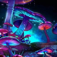 Psilocybin Ceremony