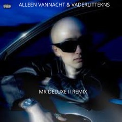 ALLEEN VANNACHT - VADER LITTEKNS REMIX - MR DELUXE II REMIX