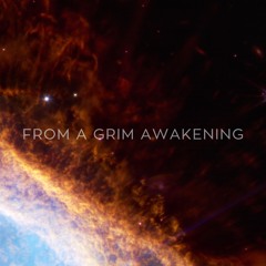 From A Grim Awakening