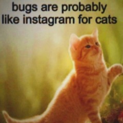 4️⃣eva 🇳 my 🙌