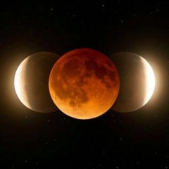 Portal entre Eclipses: Eleva Tu Energía Ahora! Episodio #48