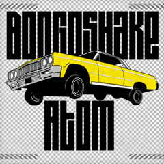 Bongoshake