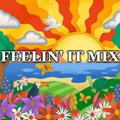 Feelin' It Mix Pt. 2 (Party/Workout Remix List)feat. ColbsMC prod. stephTwhite