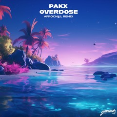 Laika - Overdose [Pakx AfroChill ReMix]
