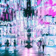 AZVC- Alprogram