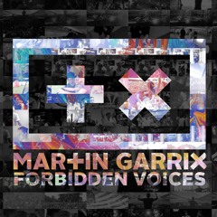 Forbidden Voices - Private Remix