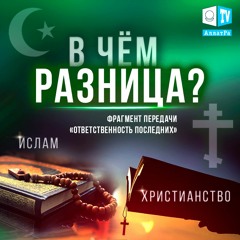 В чём разница между исламом и христианством?