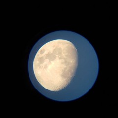 Fly Me To The Moon (Original song by Frank Sinatra)