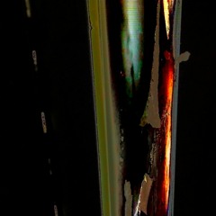 Pasó un año y nos dejó