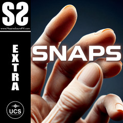 Extra Snaps - Demo