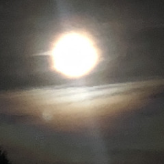Between the Sun and Moon