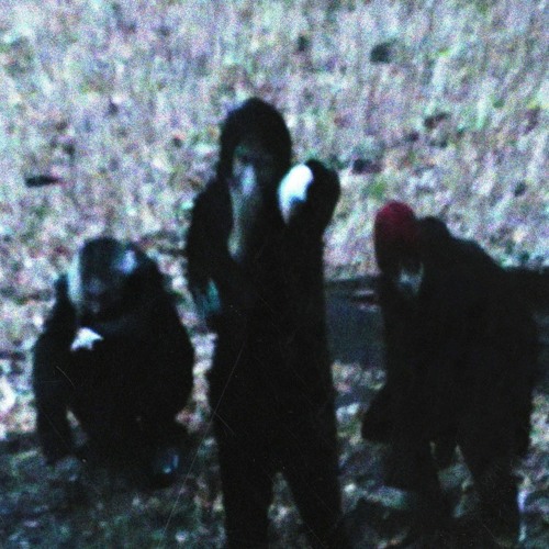 В ЛОВУШКЕ