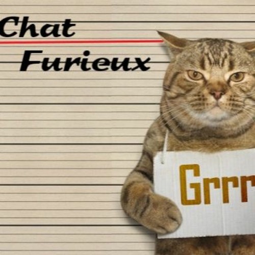 Chat Furieux