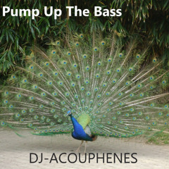 DJ-Acouphènes - Pump Up The Bass