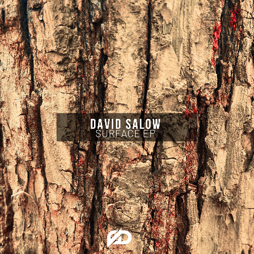 PREMIERE: David Salow - Moving Too Fast (Original Mix) [Dumble Records]