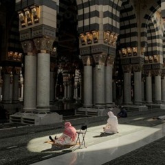 قصدتُ رحابَ النور