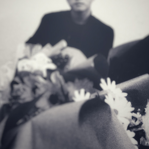 Nhạc su voi