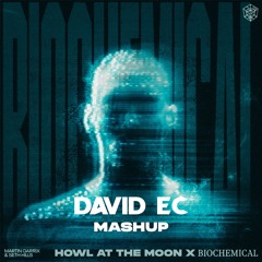 Martin Garrix & Seth Hills vs. Stadiumx & Taylr Renee - Biochemical x HATM (David Ec Mashup)