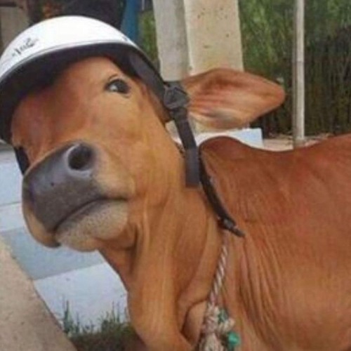 BỞI TIN LỜI THỀ X NV PHÚC REMIX.MP3