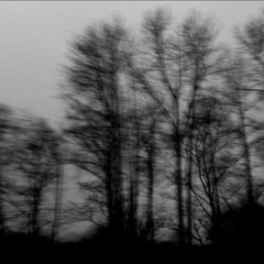 Talk 2 You (Feat. Veohuh)