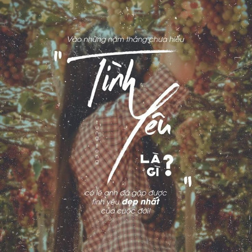 Đừng Khiến Trái Tim Em Khóc - HinCoi