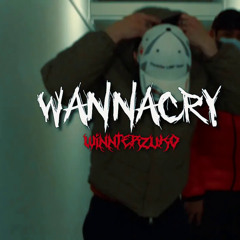winnterzuko / wannacry (prod.YUNGREVRB)