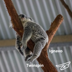 Twinspin - Ignavo