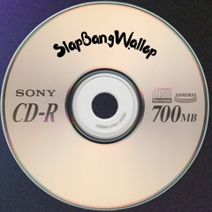 SlapBangWallop - Tech House DJ Mix