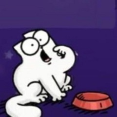 tiesto krzeptow - sensational feelings as well...