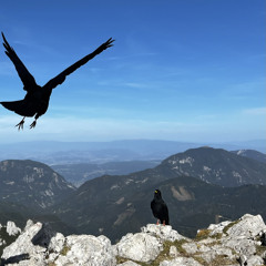 12 Minuten Höhenflug