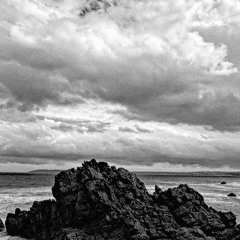 Hamshack Radio Vol. 4 - Empty Heads