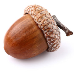 D3M0#-$!XT33N [Lyrics in Description]