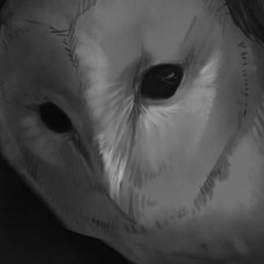 Attack on Titan S3 OST - ShingekiNoKyojin (The Owl Theme)