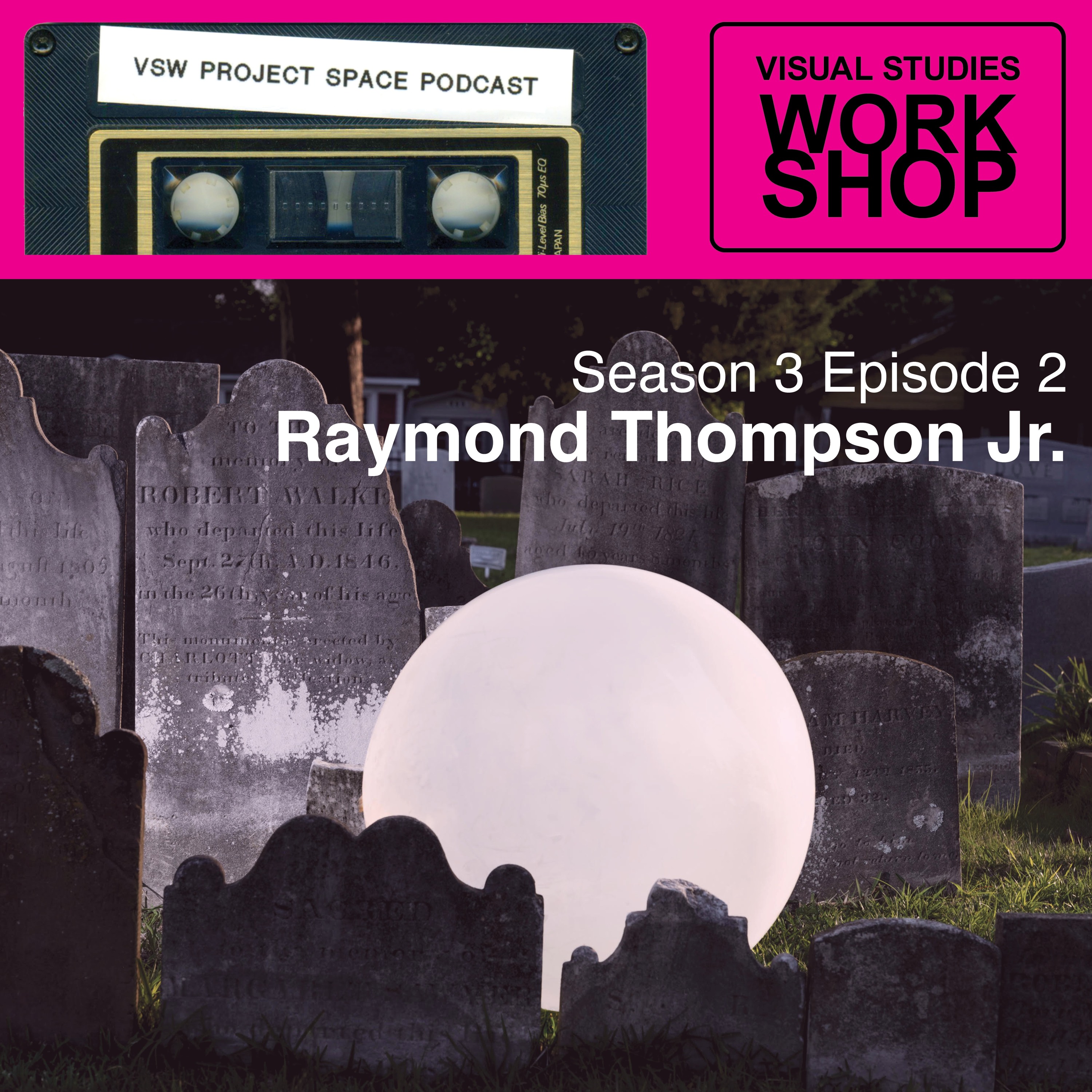 VSW Project Space Podcast