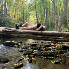 Jungle Trance