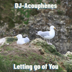 DJ-Acouphènes - Letting Go Of You