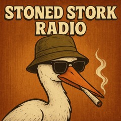 Stoned Stork Radio Mix