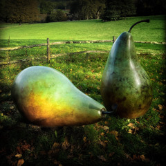 Mark Slee - Harvest: Nourish [November 2025]