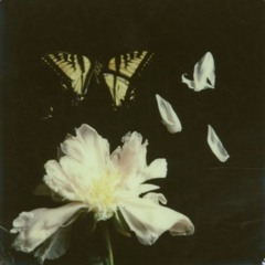 wallace cleaver x godson type beat "anybody"