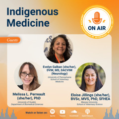 145: Indigenous Medicine