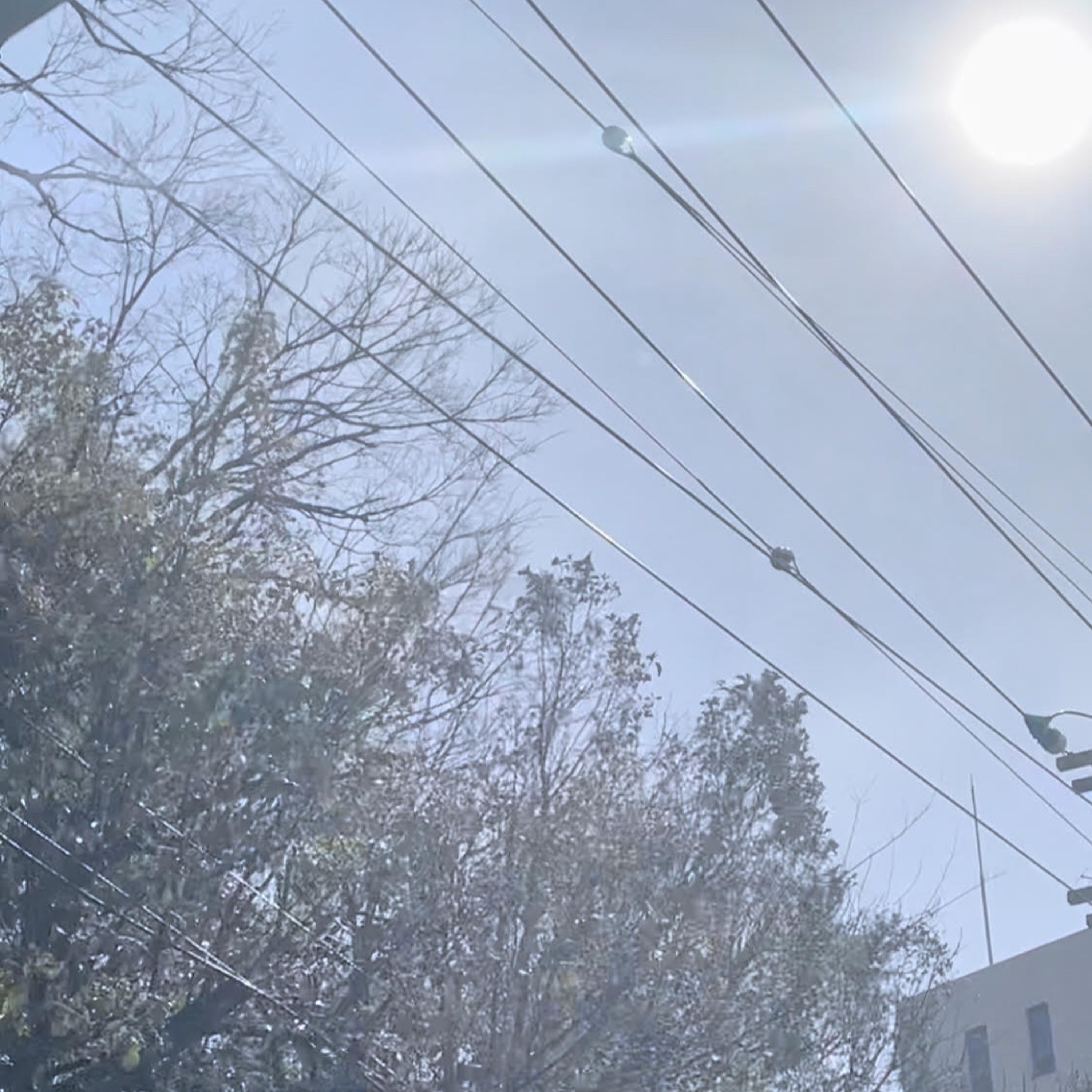 The Shog-A.I. Shimbun #7: A No News Stormy/Sunny First Day of Spring!