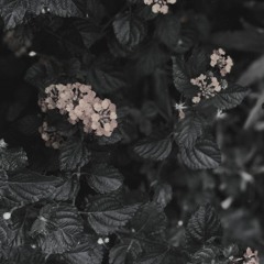 CODECAST X - Jovz - Resolution