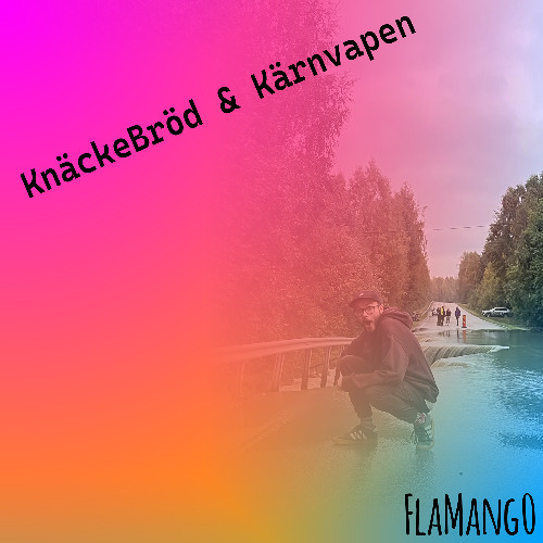 Hårdhatt & Laserskor